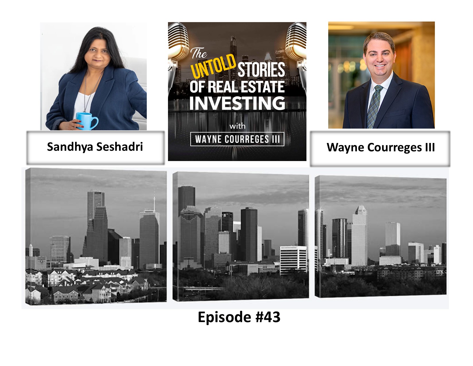 Sandhya Seshadri and Wayne Courreges on episode 43 of The Untold Stories of Real Estate Investing