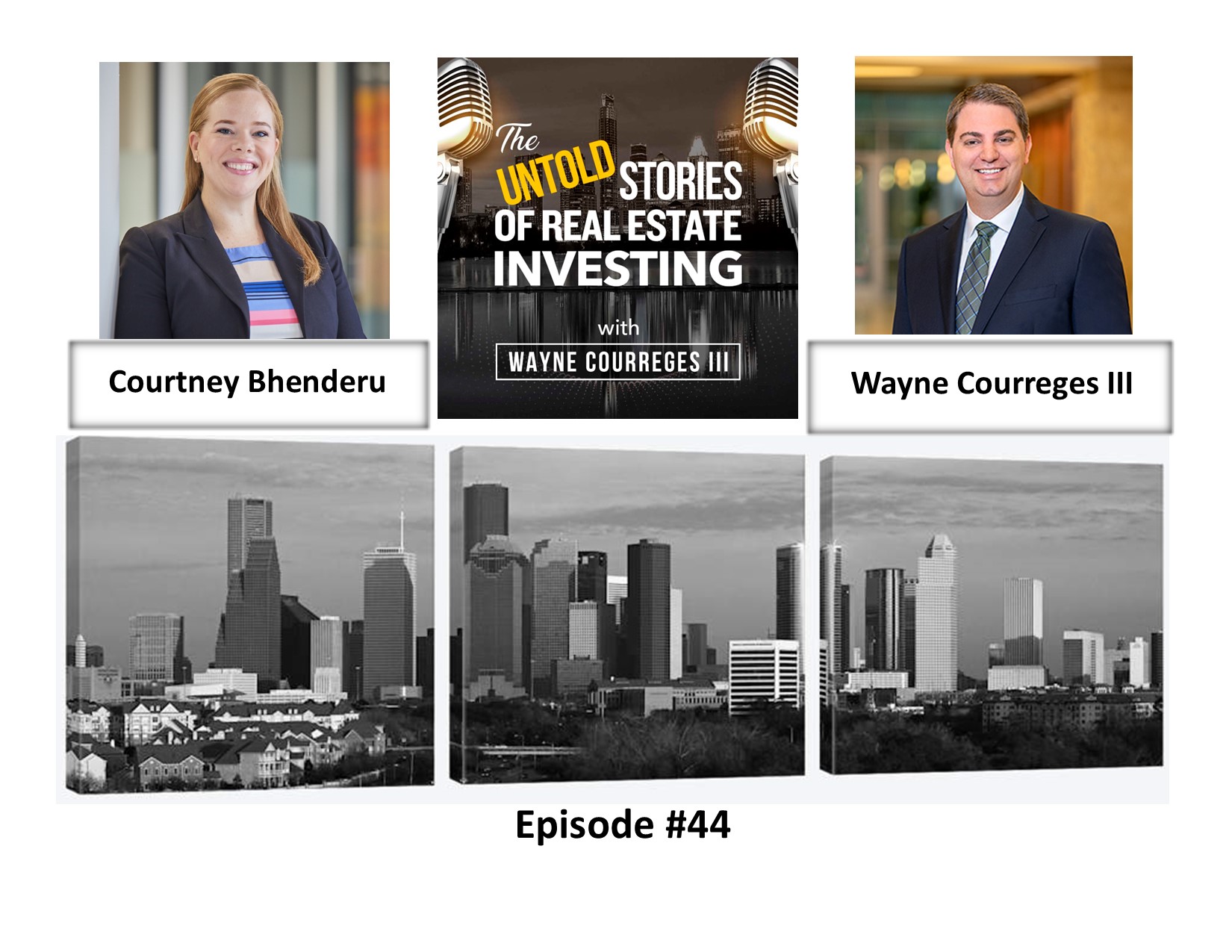 Episode #44 of The Untold Stories of Real Estate Investing with Courtney Bhenderu
